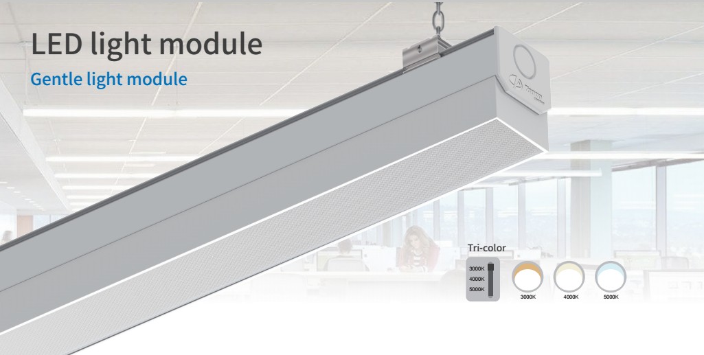 Narrow light module Led Trunk Linear System